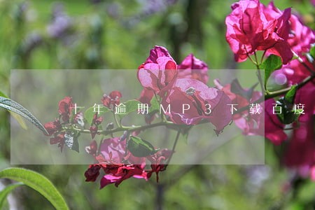 十年逾期MP3下载百度网盘 十年逾期MP3下载百度网盘