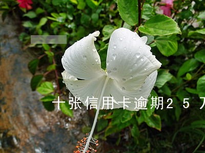 十张信用卡逾期25万会坐牢吗 十张信用卡逾期25万会坐牢吗