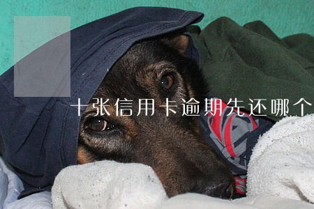 十张信用卡逾期先还哪个 十张信用卡逾期先还哪个