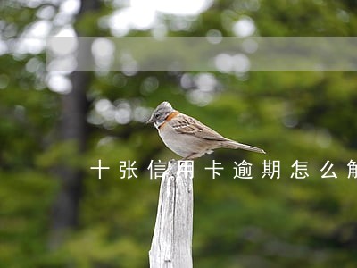 十张信用卡逾期怎么解决 十张信用卡逾期怎么解决