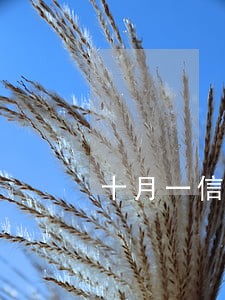 十月一信用卡逾期新规定