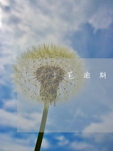 十笔逾期公积金贷款 十笔逾期公积金贷款