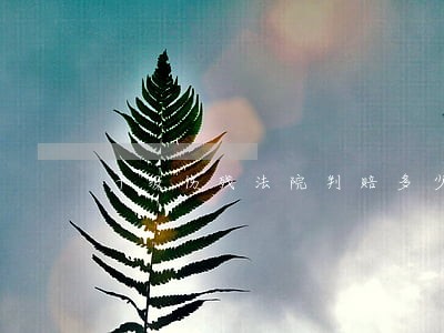 十级伤残法院判赔多少钱 十级伤残法院判赔多少钱