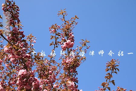 十级伤残赔偿律师介绍一个 十级伤残赔偿律师介绍一个
