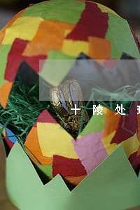 十陵处理交通违法