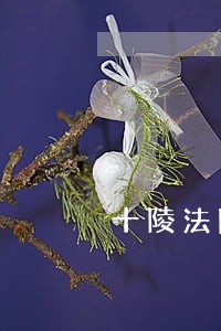 十陵法院电话是多少 十陵法院电话是多少