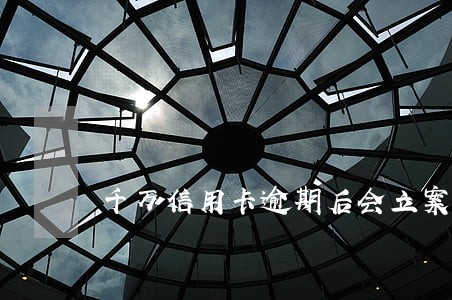 千万信用卡逾期后会立案晚吗