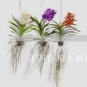 千万信用卡逾期持卡人 千万信用卡逾期持卡人
