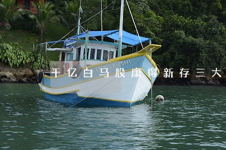 千亿白马股康得新存三大违法事实 千亿白马股康得新存三大违法事实