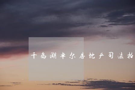 千岛湖卓尔房地产司法拍卖 千岛湖卓尔房地产司法拍卖