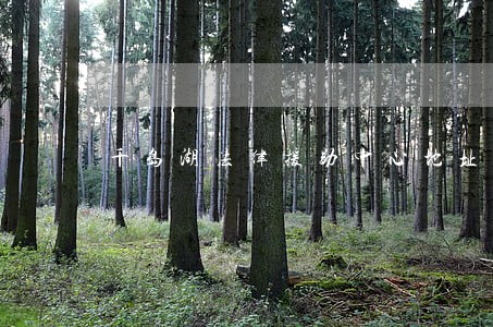 千岛湖法律援助中心地址 千岛湖法律援助中心地址