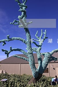 千岛湖离婚律师事务所