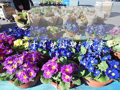 千百块逾期4天要报案了 千百块逾期4天要报案了