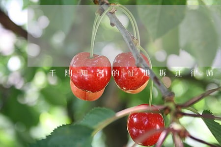 千阳知名的征地拆迁律师排名 千阳知名的征地拆迁律师排名