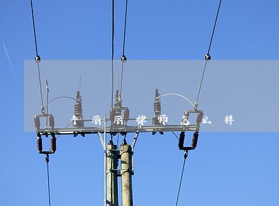 午丽丽律师怎么样 午丽丽律师怎么样