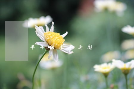 半年信用卡逾期