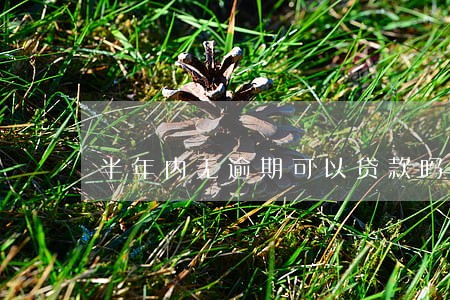 半年内无逾期可以贷款吗 半年内无逾期可以贷款吗