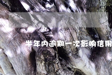 半年内逾期一次影响信用贷款吗 半年内逾期一次影响信用贷款吗