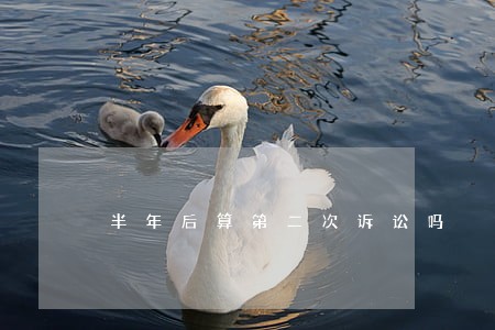 半年后算第二次诉讼吗