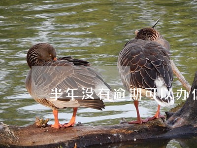 半年没有逾期可以办信用卡吗 半年没有逾期可以办信用卡吗