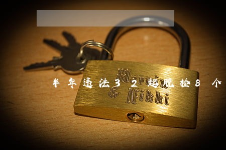 半年违法32起脱检8个月 半年违法32起脱检8个月