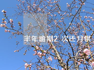 半年逾期2次还月供