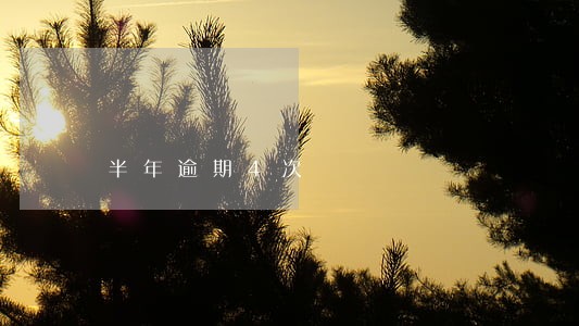半年逾期4次 半年逾期4次
