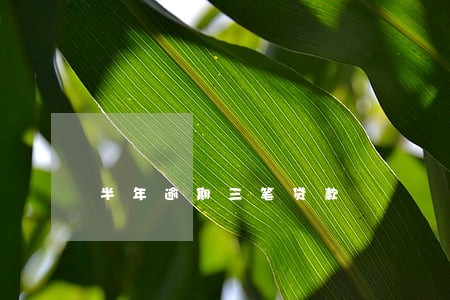 半年逾期三笔贷款 半年逾期三笔贷款
