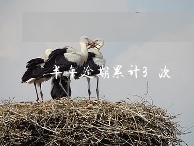 半年逾期累计3次 半年逾期累计3次