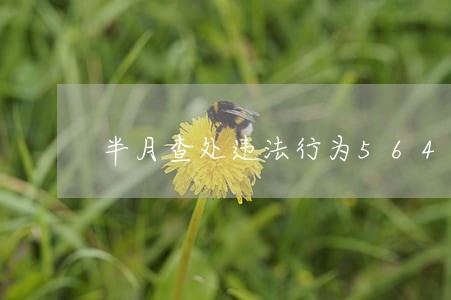 半月查处违法行为5642起 半月查处违法行为5642起