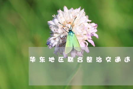 华东地区联合整治交通违法 华东地区联合整治交通违法