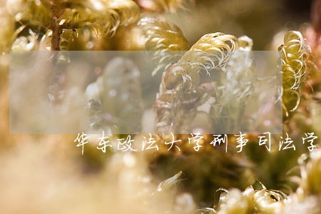 华东政法大学刑事司法学院税号