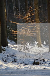华中片债务债权律师咨询 华中片债务债权律师咨询