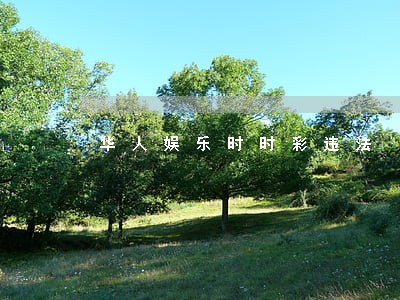 华人娱乐时时彩违法