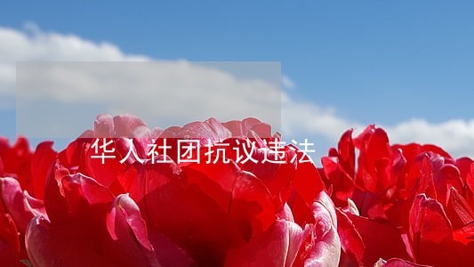 华人社团抗议违法 华人社团抗议违法