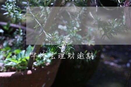 华侨宝理财逾期 华侨宝理财逾期