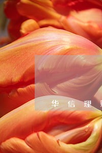 华信理财逾期归还了吗 华信理财逾期归还了吗