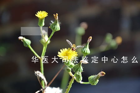 华医大司法鉴定中心怎么样
