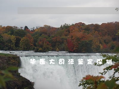 华医大司法鉴定深圳 华医大司法鉴定深圳