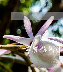 华厦信用卡逾期150天