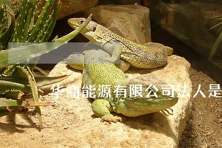 华商能源有限公司法人是谁 华商能源有限公司法人是谁