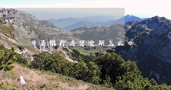华商银行房贷逾期怎么办
