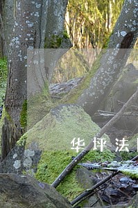 华坪法院补正说明 华坪法院补正说明