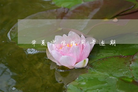 华夏中信信用卡逾期 华夏中信信用卡逾期