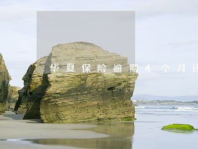 华夏保险逾期4个月还能续保不了 华夏保险逾期4个月还能续保不了
