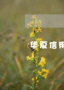 华夏信用卡分期逾期多久上征信 华夏信用卡分期逾期多久上征信
