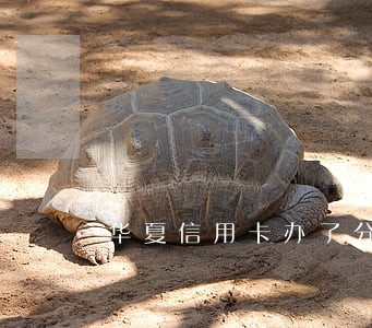 华夏信用卡办了分期逾期后 华夏信用卡办了分期逾期后
