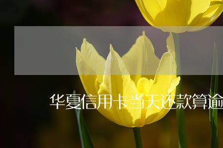 华夏信用卡当天还款算逾期 华夏信用卡当天还款算逾期