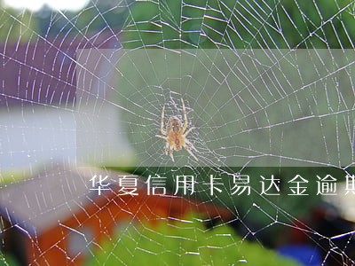 华夏信用卡易达金逾期 华夏信用卡易达金逾期