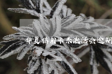 华夏信用卡未激活会逾期 华夏信用卡未激活会逾期
